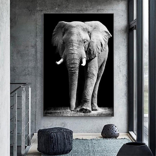 Afrikaanse olifant